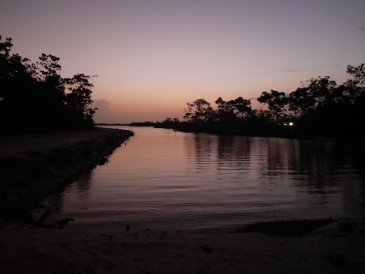 dms17869's tweet photo. You can tik the boy oot o Macduff but not Macduff oot the boy, nice last cast fish tonight in Port Gentil, Gabon. #Gabon #fishing #lastcast #dinner https://t.co/ptL3OBkuZ0