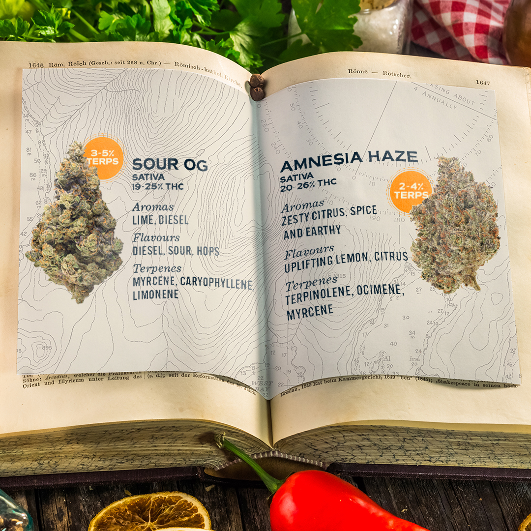There’s no recipe book for making the best west coast woah. But if there was, it might look a little something like this. All of our small batch cannabis comes at a consistent range of terpenes, for a premium smoke you can come back to with confidence.