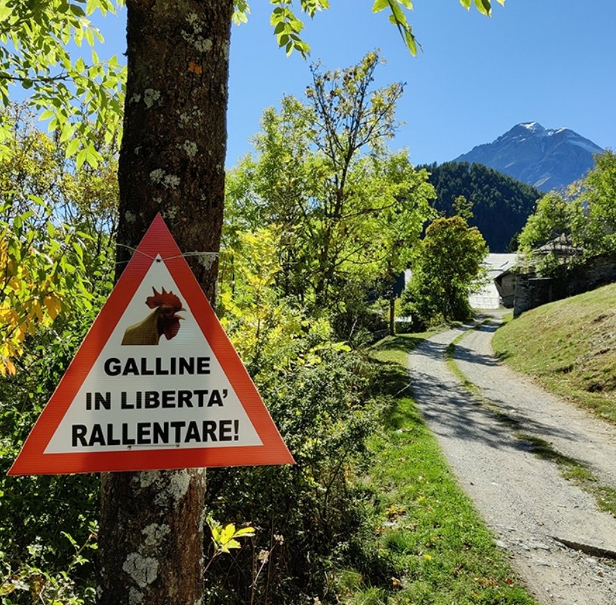 Verticales_it's tweet photo. 🆕 puntata #podcast : il mondo delle galline, la Repubblica Autonoma di Malpasso e la perduta città di Rama in #valdisusa  https://t.co/j4Oztbqu3w https://t.co/XN7jZN41Zd