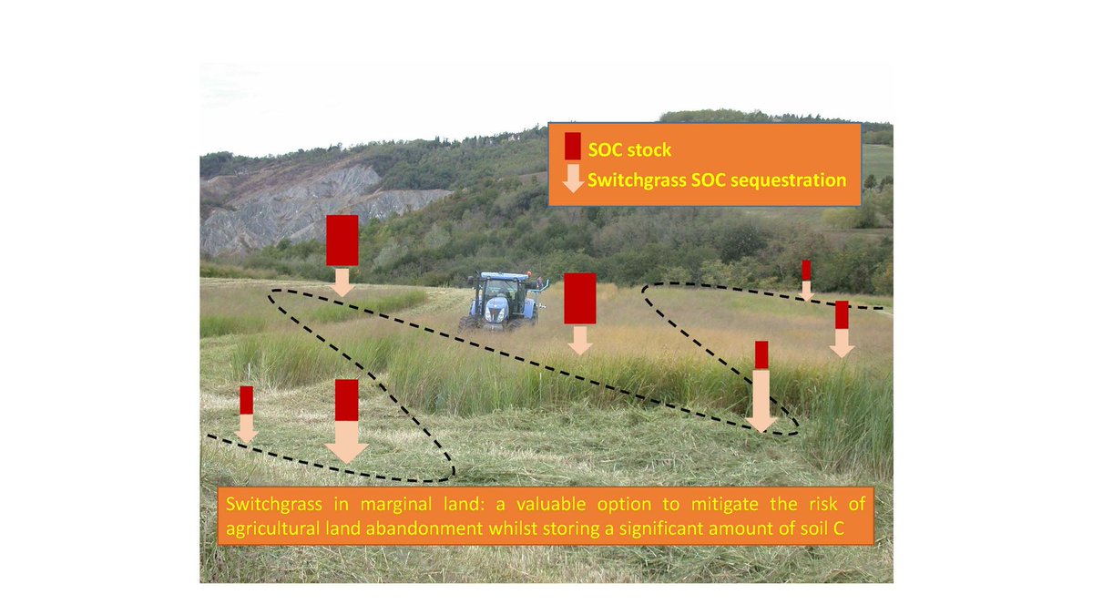 GCB_Bioenergy's tweet photo. || NEW RESEARCH ||
Is #switchgrass good for carbon savings? Long‐term results in #marginalland

📰 https://t.co/k8w1aHI9Ii
#bioenergy #bioethanol https://t.co/ewmbJCaryn