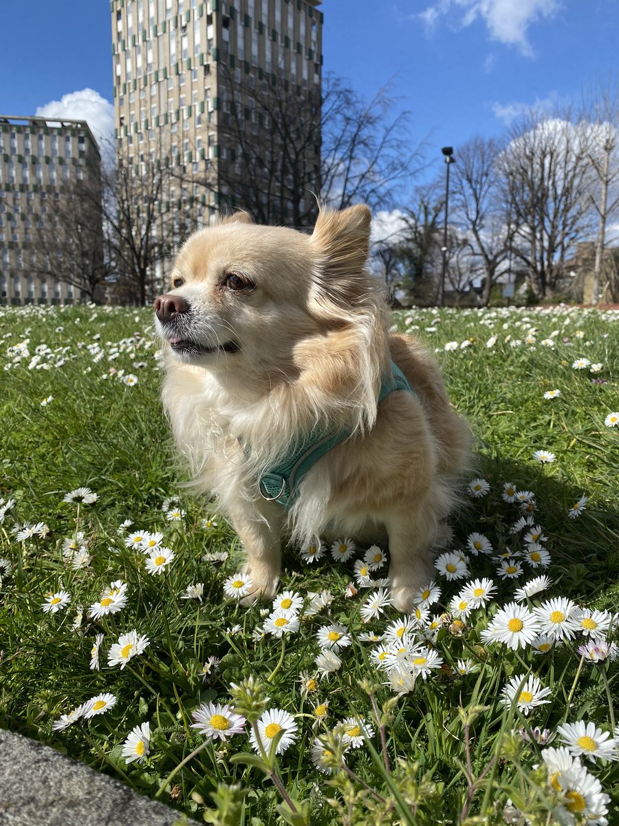 Liz 🦩💙 tweet media