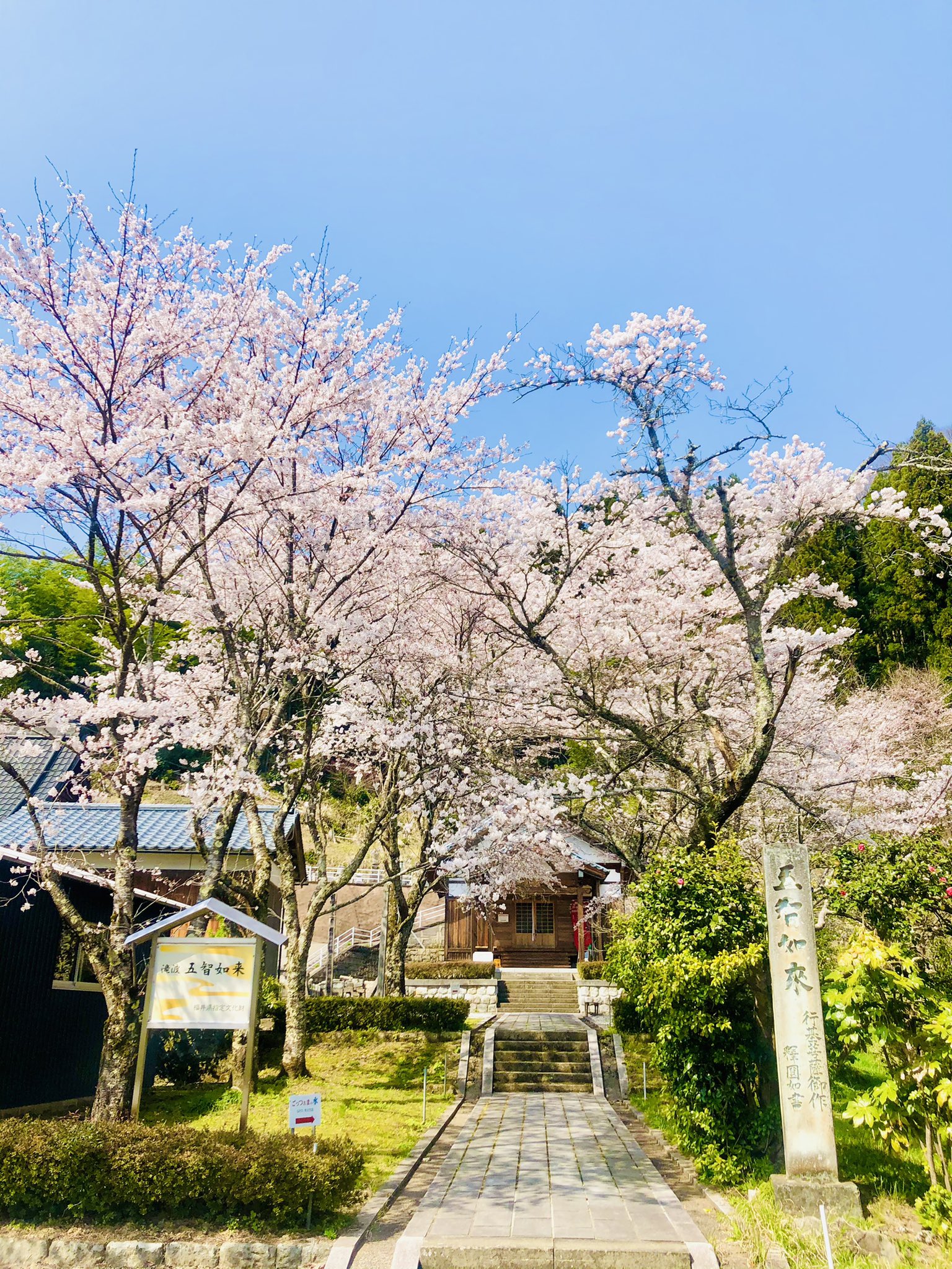 福井市瀧波町「五智如来堂」WPPC:令和7年3月20日(木・祝日 福井市瀧波町「五智如来堂」WPPC:令和7年3月20日(木・祝日