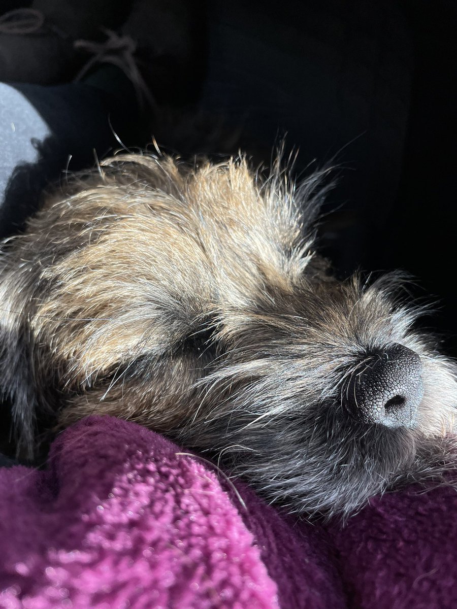 fredajg's tweet photo. It’s been a busy day #BTposse https://t.co/KFlA1YN9EG