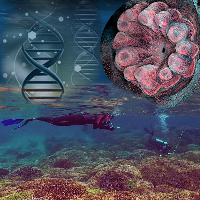 Raúl González-Pech (@raulgoch.bsky.social) (@raulgoch) on Twitter photo If you are an #ECR in #Coral #Science, consider publishing your research in our <a href="/FrontiersIn/">Frontiers</a> Research Topic "Innovative Approaches to Coral Reef Science by Early Career Researchers". More details:
bit.ly/3x8POfV
<a href="/FrontMarineSci/">Frontiers - Marine Science</a> <a href="/FrontPhysiol/">Frontiers - Physiology</a> <a href="/FrontEcolEvol/">Frontiers - Ecology & Evolution</a> If you are an #ECR in #Coral #Science, consider publishing your research in our <a href="/FrontiersIn/">Frontiers</a> Research Topic "Innovative Approaches to Coral Reef Science by Early Career Researchers". More details:
bit.ly/3x8POfV
<a href="/FrontMarineSci/">Frontiers - Marine Science</a> <a href="/FrontPhysiol/">Frontiers - Physiology</a> <a href="/FrontEcolEvol/">Frontiers - Ecology & Evolution</a>