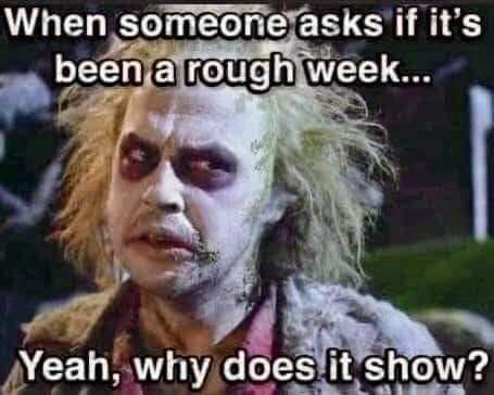 MrsBrown_SEMH's tweet photo. Eldest slept next to me last night as being sick through the night 🤢🤮 feeling rough myself but LFT all negative, resorted to using a 2+year out of date sudafed nasal spray so I can breath 🤧 1 more day ... I'll be crawling to 2.50pm tomorrow I think!

#Edutwitter #IsItEasterYet https://t.co/HAbbymamlu