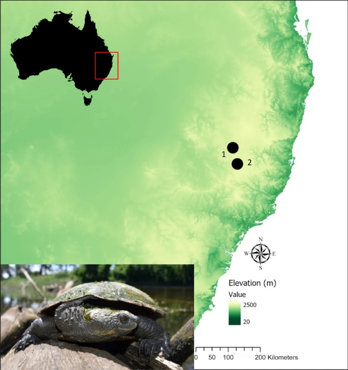 Duminda S B Dissanayake tweet media