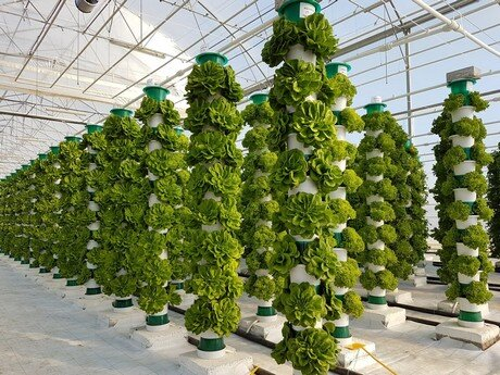 ModernAgUpdates's tweet photo. Hydroponic farming is a solution to the challenge of food security. https://t.co/zc78loUQ73