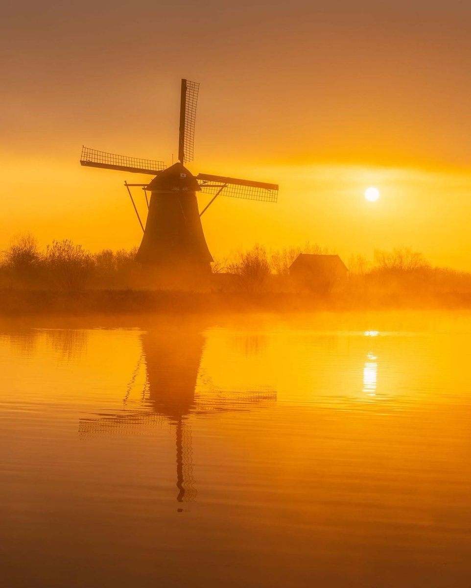 Fijne #TerugVolgVrijdag. Wie ons volgt, volgen wij terug. Net als alle andere dagen van de week. Liefs, #TeamPositief

📸 Frank Leenen #Goedemorgen