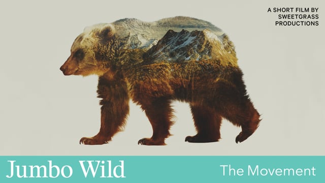 Jumbo Wild is a must-see documentary about the fight to protect the Jumbo Valley from development. This film highlights the tension between the protection of wilderness and ever-increasing development interests in wild places.

Streaming now on #iNDIEFLIX!