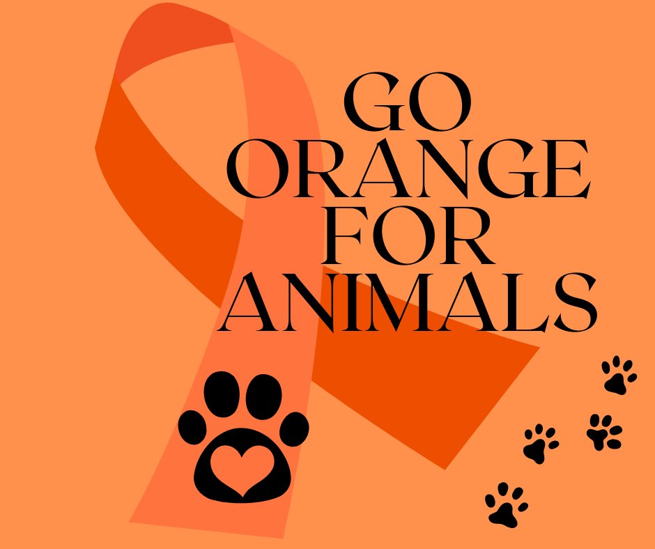 Siouxland Humane Soc on Twitter: Siouxland Humane Soc on Twitter: