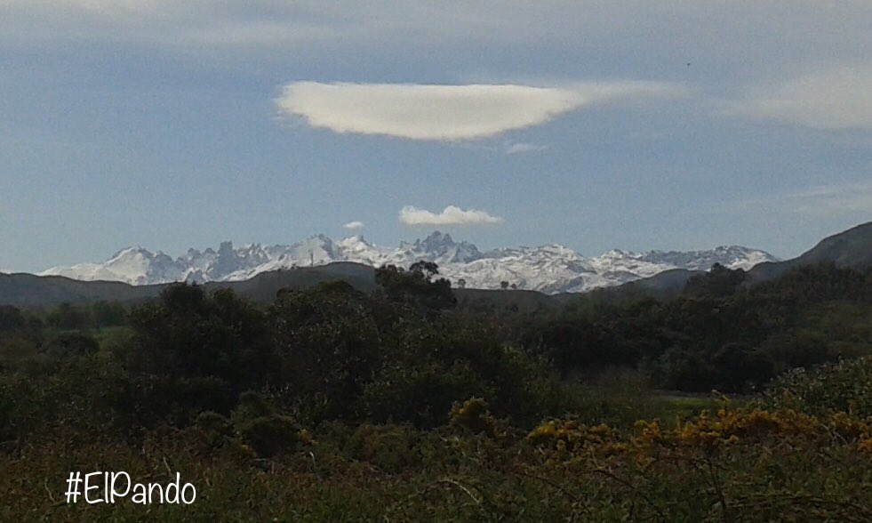 QuintanaPin's tweet photo. Güei los #PicosdeEuropa veíense bien prestosos dende #ElPando y #Rotellas ... y el #MarCantabrico tamién.
#Asturiesdemiosamores
#nasturianuprestamás . @llanesturismo @TurismoAsturias @spain @AEMET_Asturias @eltiempotpa @MeteoAsturias @exunta @amorpolallingua @ALLA_ast https://t.co/EtY2b1biWc