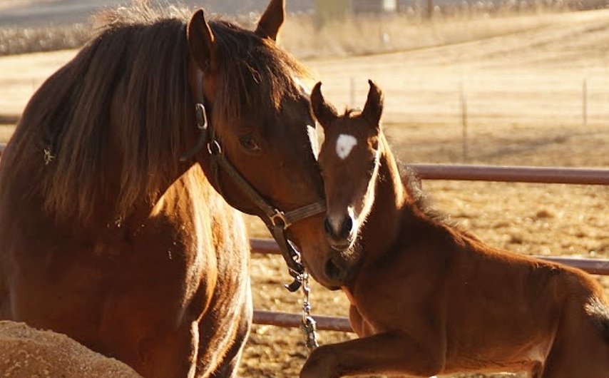 ChristinaJCodd's tweet image. My stunning wee baby #MMCherryBomb