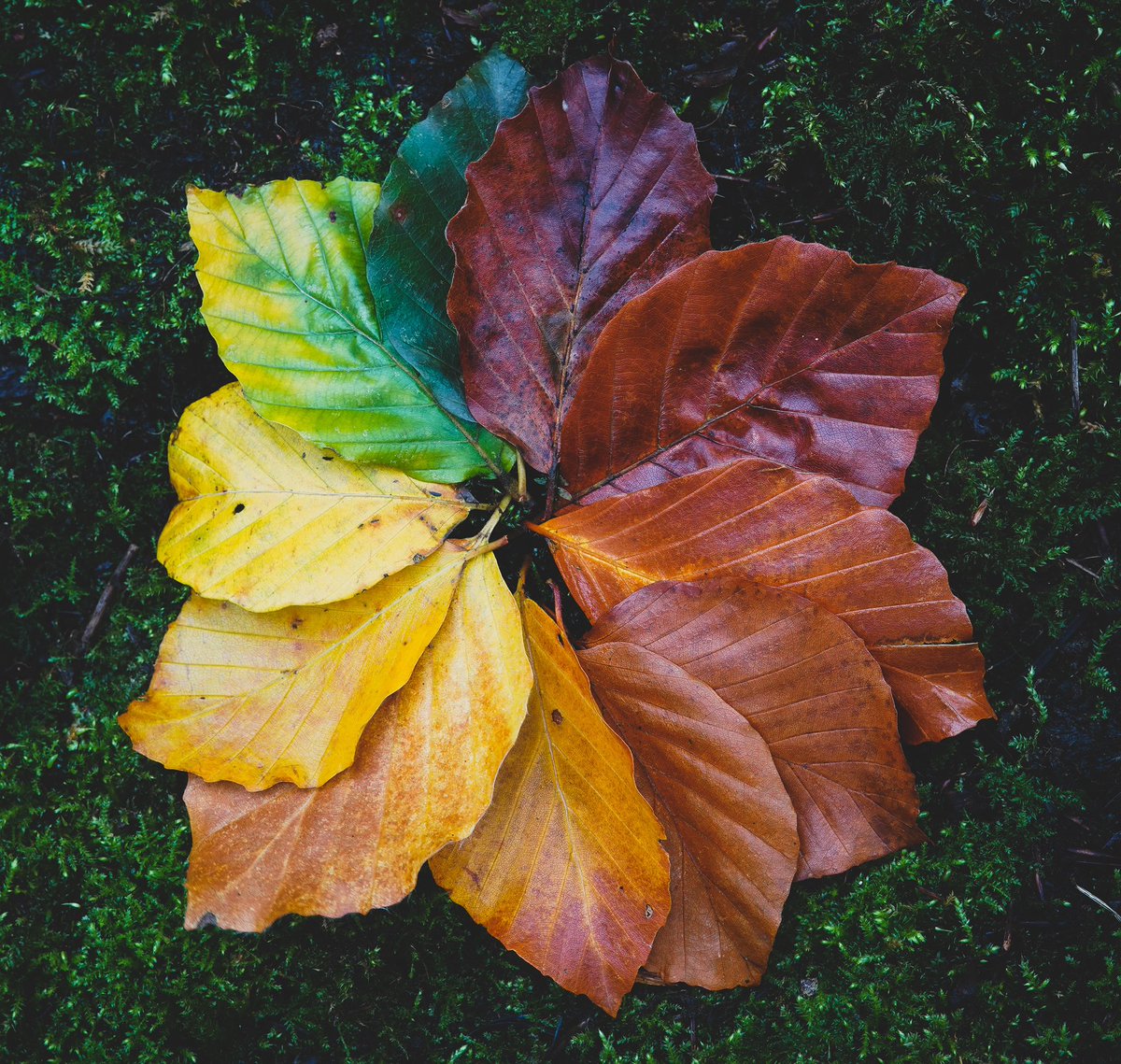 DanielBritton's tweet image. #dPSWeeklyChallenge