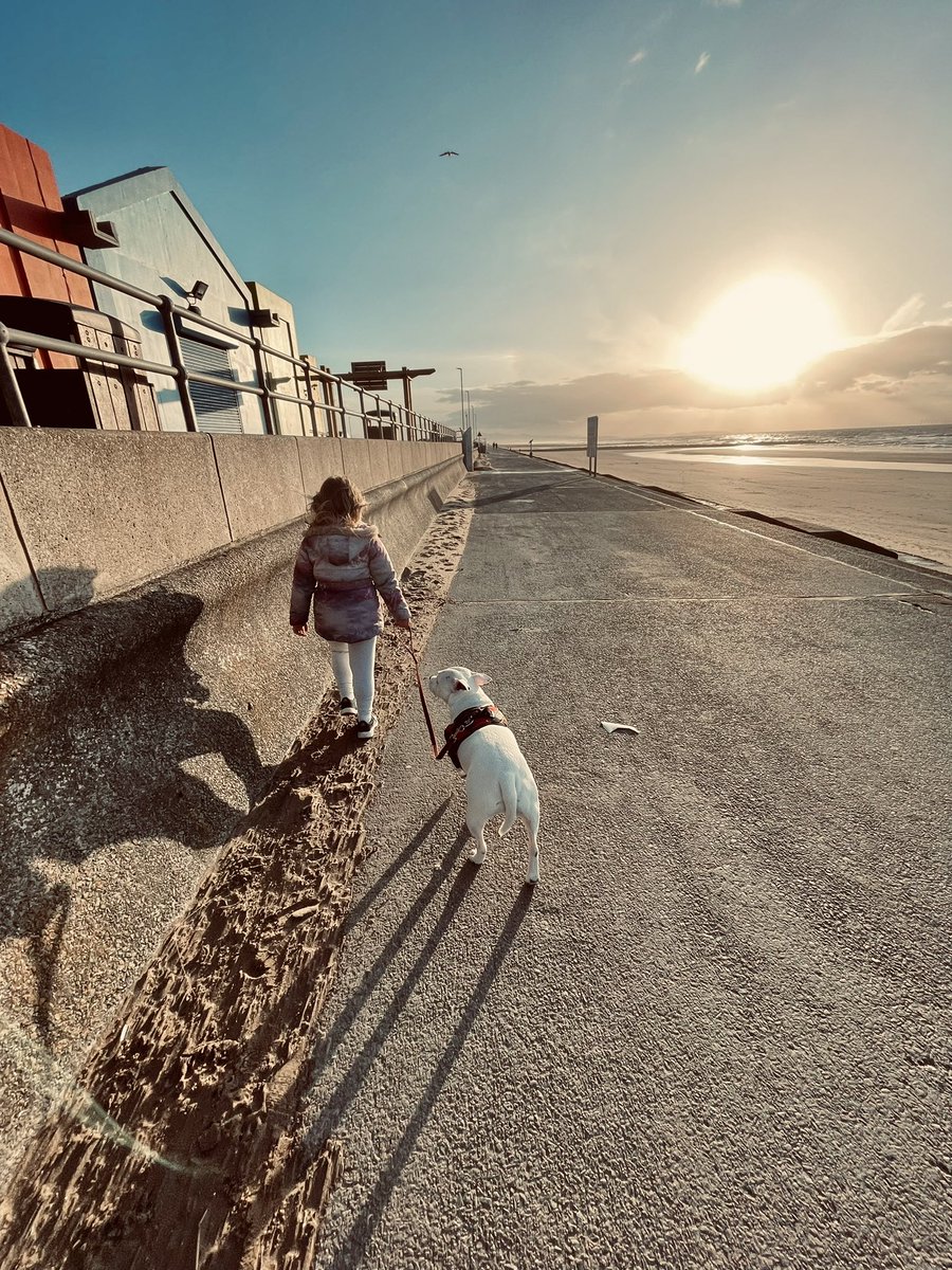 matt1DUK's tweet photo. Beautiful evening with my girl ❤️ #singledad #singlemom #single #singleparent #divorce #love #singledadlife #dadlife #parenting #singledads #coparenting #dad #singlemum #divorcedmom #divorced #divorcesupport #dating #singlemomlife #family #singleparents #fatherhood #singlefather https://t.co/vcniFOjXWf