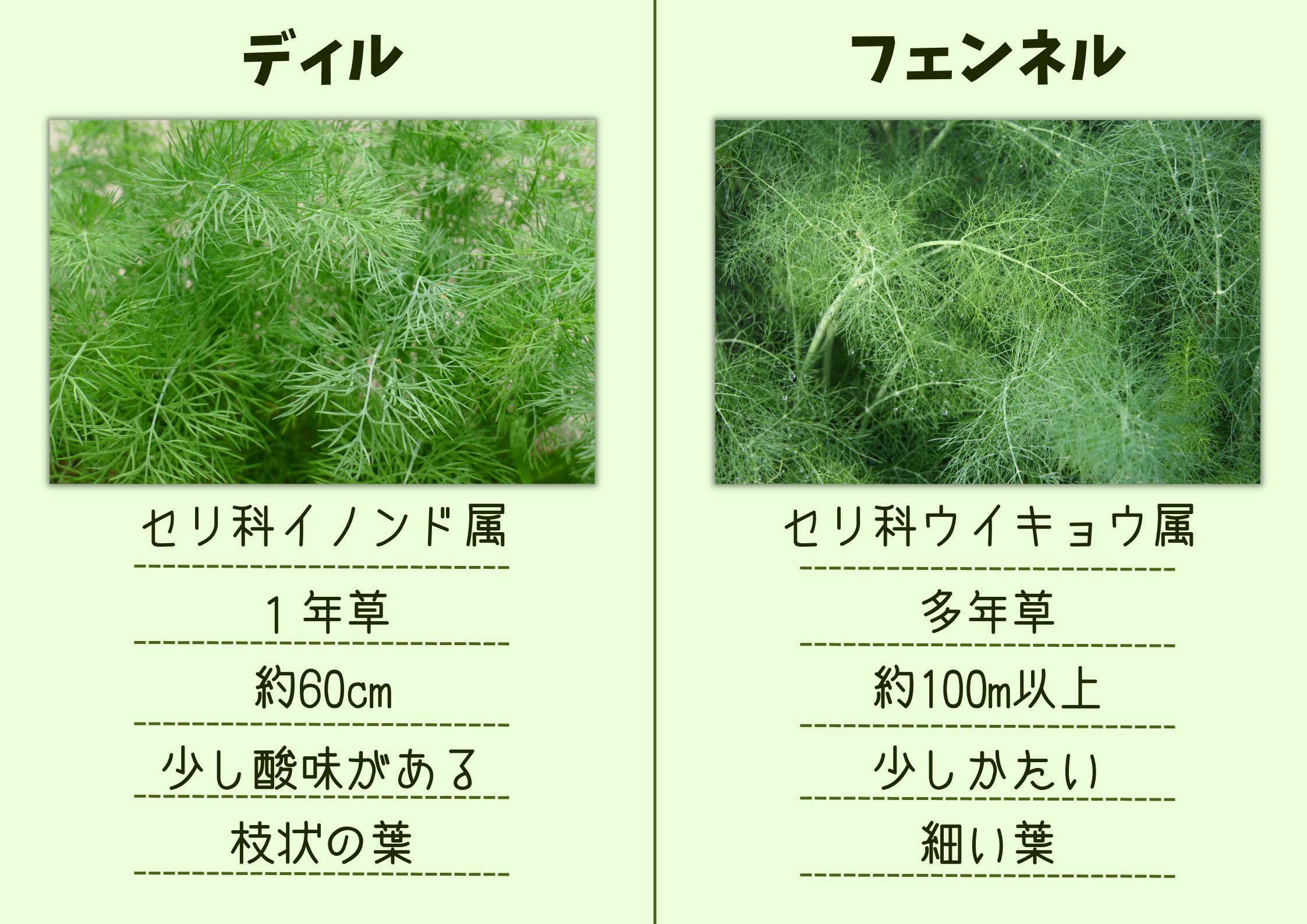 ディル Twitter Search Twitter