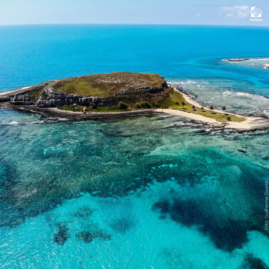 funbio's tweet photo. Parabéns, Parque Nacional Marinho dos #Abrolhos! Ontem a unidade de #conservação completou 39 anos de proteção à #biodiversidade marinha do Brasil e do Atlântico Sul. E por aqui é só orgulho! O PARNA é uma das UCs que recebe apoio do Programa #GEFMar. #funbio #funbio26 https://t.co/RgLvCCaLGB