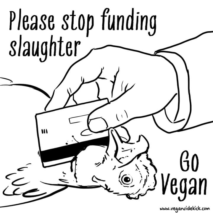 vegansidekick's tweet photo. https://t.co/Je90Vs8rGa
