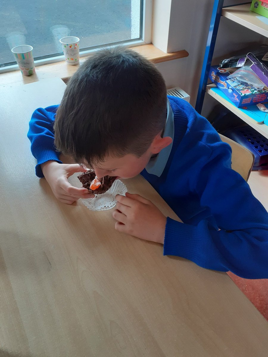 3rd Class St. Attracta's N.S tweet media