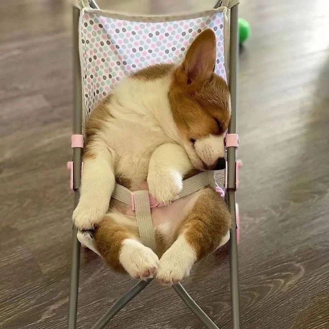 PAVGOD's tweet photo. Can you please keep your voice down, my child is sleeping 🤫 https://t.co/AUvUuOlemK