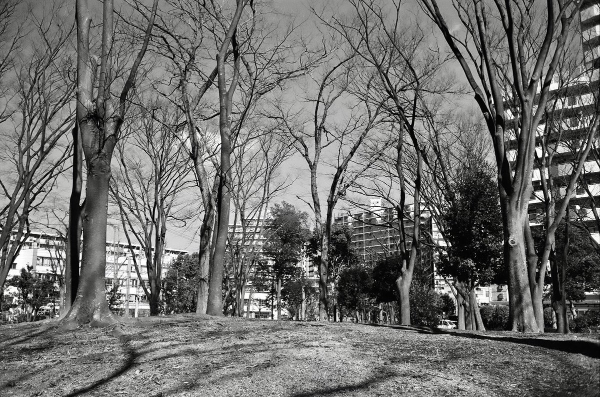 kanbai_banjo's tweet photo. 団地風景
February 27, 2022
FUJI ACROS100 II, W-Nikkor 3.5cm f2.5 with yellow filter, LEICAⅢg
#fujiacros100ii #fujiacros100 #fujiacros #leica3g #barnackleica #wnikkorc35mmf25 #wnikkor35 #filmcamera #monochrome #yellowfilter #oldcamera #歩撮 #団地 #砂町 #противійни #нетвойне https://t.co/Xzeq8pnEpA