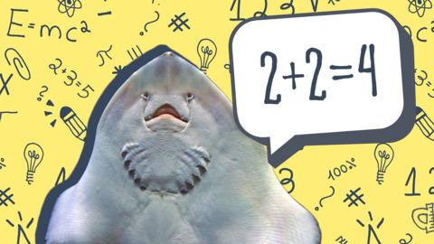 The Weather Network on Twitter: 