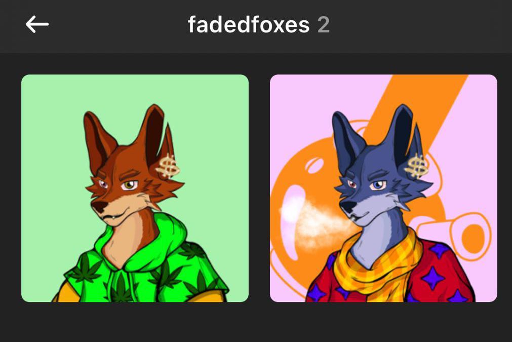 TheislandCrypto's tweet photo. @FadedFoxess  🔥🔥🔥🔥🦊🦊🦊 #SOL #SolanaNFT https://t.co/AKvH9S5Zah