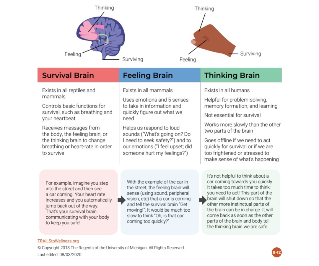 PonziniG's tweet photo. I often find my psychoed sessions about the impacts of trauma on the brain to be clunky. 

The regions of the brain + their functions can be confusing and difficult to remember for patients! 

But, I found this TRAILS explanation and LOVE how easy it makes these sessions! https://t.co/jHgcN4jG5s