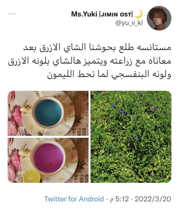 سواق طيارة tweet media