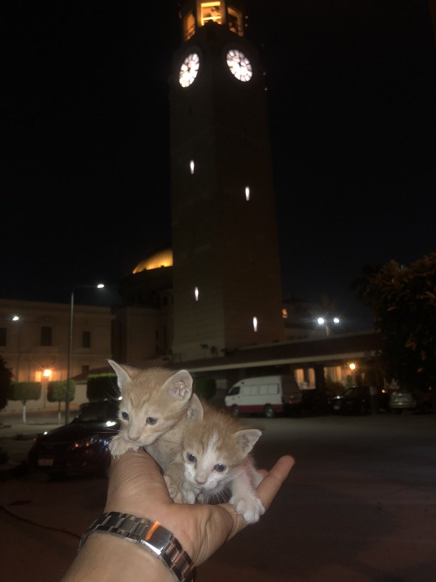 adelemad223's tweet photo. أنا لقيت الحلوين دول 💜 https://t.co/HdLRwHkVzh