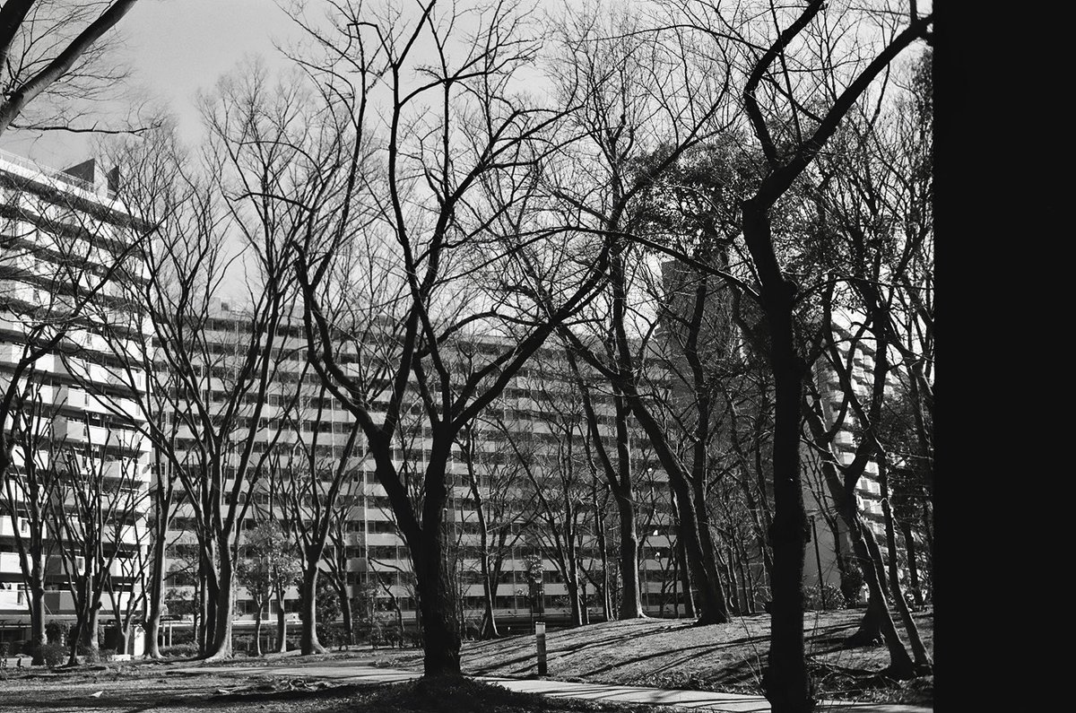 kanbai_banjo's tweet photo. 39枚目の団地風景
February 27, 2022
FUJI ACROS100 II, W-Nikkor 3.5cm f2.5 with yellow filter, LEICAⅢg
#fujiacros100ii #fujiacros100 #fujiacros #leica3g #barnackleica #wnikkorc35mmf25 #wnikkor35 #filmcamera #monochrome #yellowfilter #oldcamera #歩撮 #団地 #противійни #нетвойне https://t.co/Dhl7euxu9p