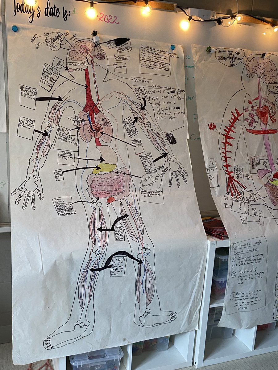 Nikhaight's tweet photo. We’ve had a fun time learning all about the Human Body with student teacher extraordinaire Mr. Lu! Today the students completed their culminating tasks and they turned out spectacular. 😊@MrLuuuuuuuuu @htubman2015 https://t.co/TZ4s5WgNSt