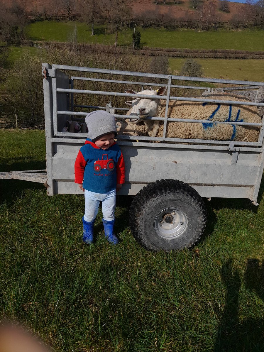 Eifion Wyn Pughe tweet media
