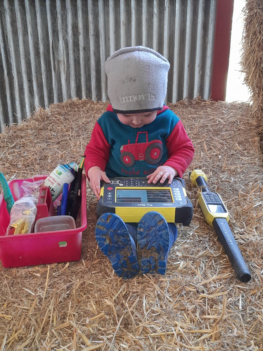 Eifion Wyn Pughe tweet media