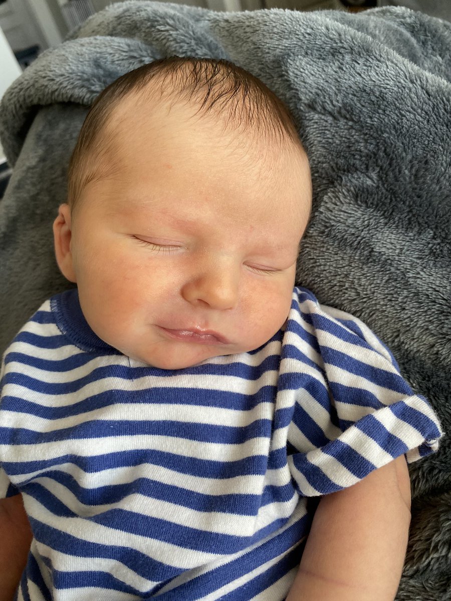 xoxokatybug's tweet photo. Update: our boy is the sweetest 🥺 https://t.co/3X6xbhvjWE