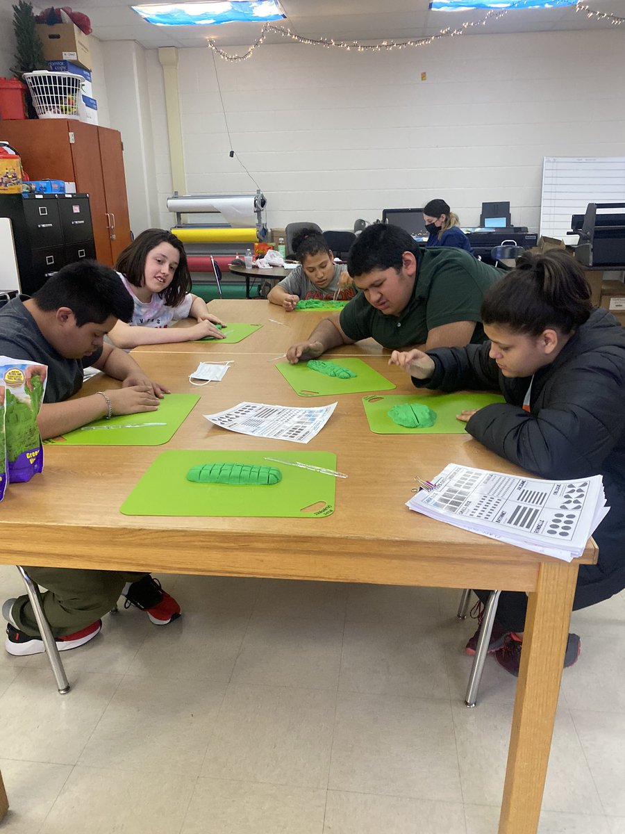 Calista Umbel tweet media