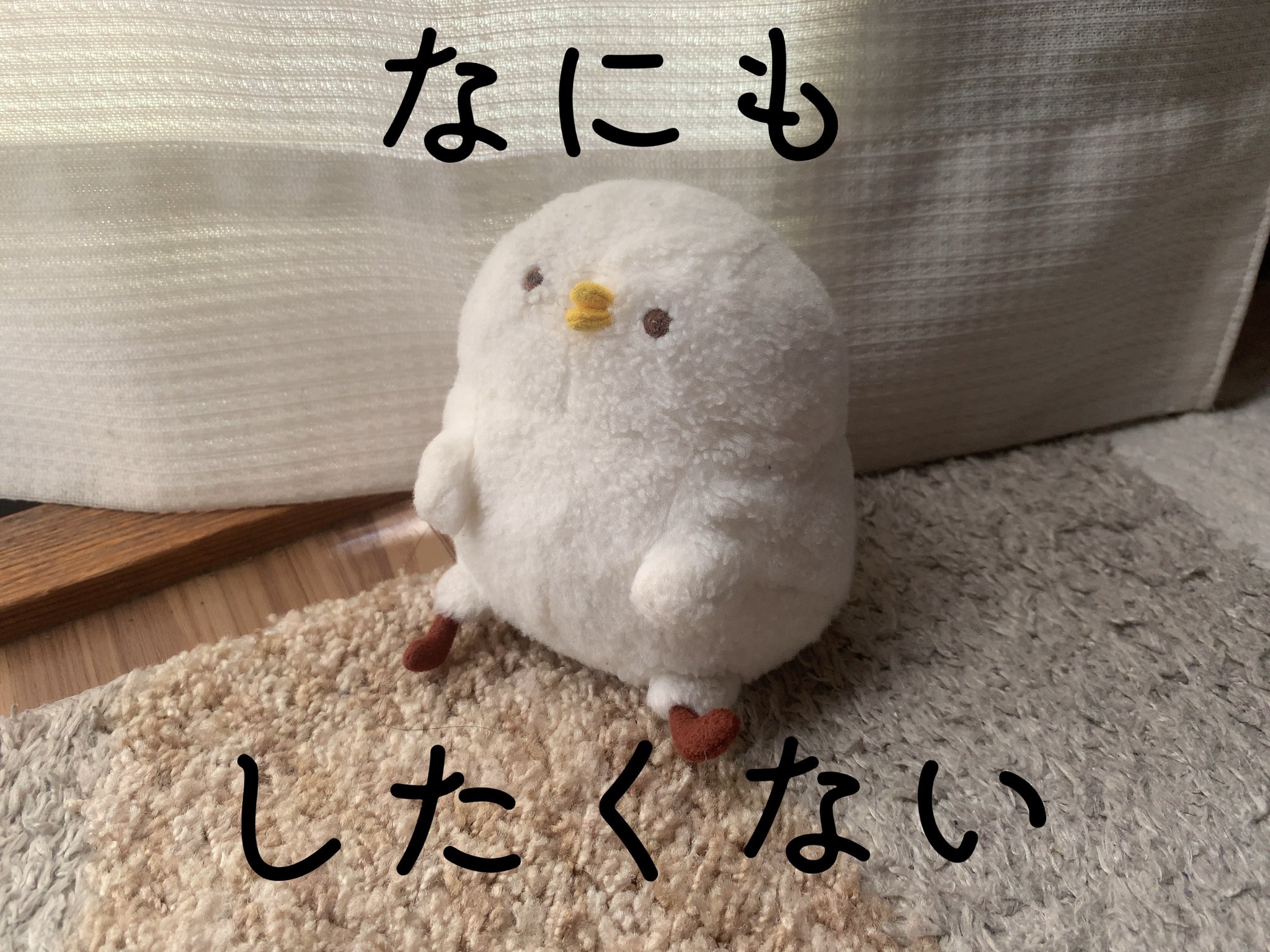 かずま (@kazumaaaaa615) • Instagram photos and videos