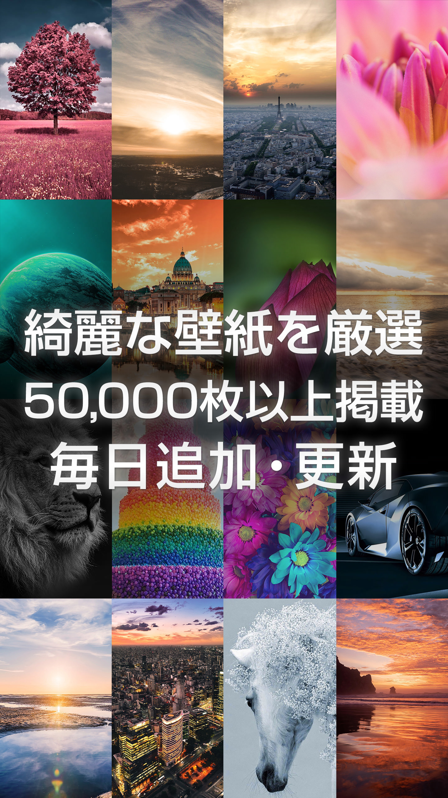 Masaki Hirokawa Iphone Androidアプリ 綺麗な壁紙 では 4k Hdrに対応した高画質壁紙を 5万枚以上 無料でダウンロードできます スマートフォン向けの壁紙をお探しの方は是非当アプリをお試しください App Store T Co Evk9vpxvsc Google Play