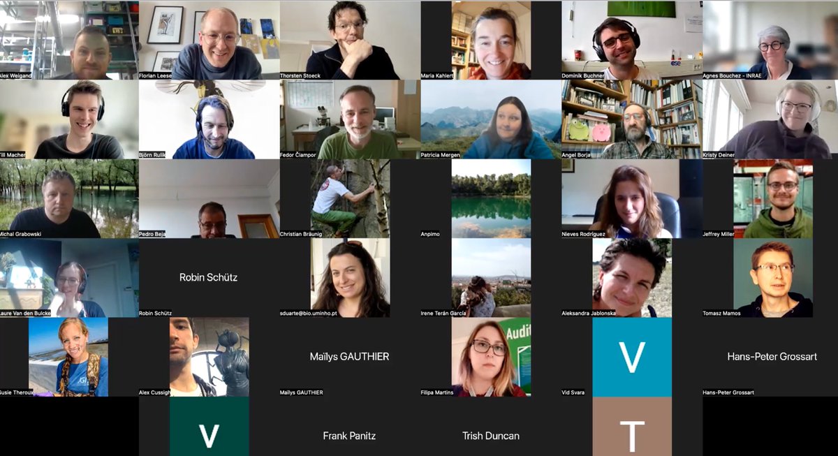 DNAquaNet's tweet photo. Good #DNAquaNet #JourFixe today ☕️ Screening proposal options & learning from @buchner_dominik & @TillMacher about #APSCALE #BOLDigger & #TaxonTableTools #metabarcoding #opensource #pipeline Happy to learn about further software from other groups next time as well‼️ https://t.co/XaH4H3NYcj