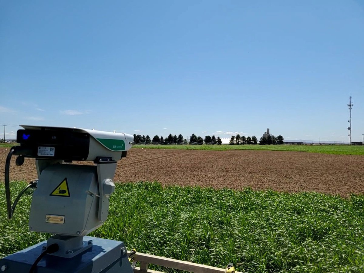 OregonStateExt's tweet image. Bird predation is a threat to Oregon's fruit crops, which rank 8th, 9th, 11th, 14th &amp;amp; 20th among the state's top ag commodities. In response, OSU Extension published a guide to nonlethal bird deterrent strategies. bit.ly/3JdDUVh #OSUImpact @ORagriculture @OreFarmBureau