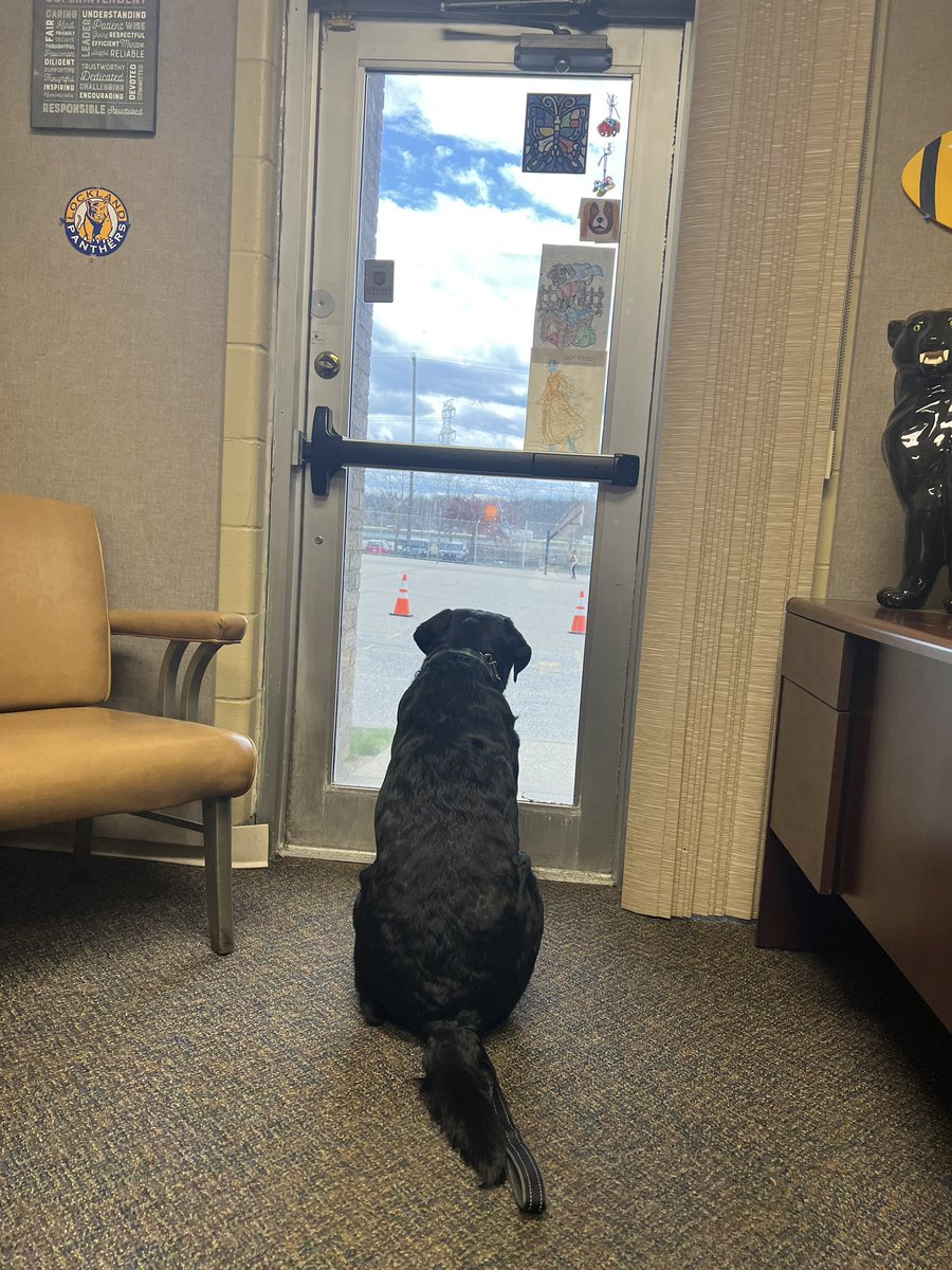 Mister_Diggle's tweet image. Just watching the kids play on the playground as the humans have a meeting!! #heycaniplay #willthesunevercomeout #runplayrepeat