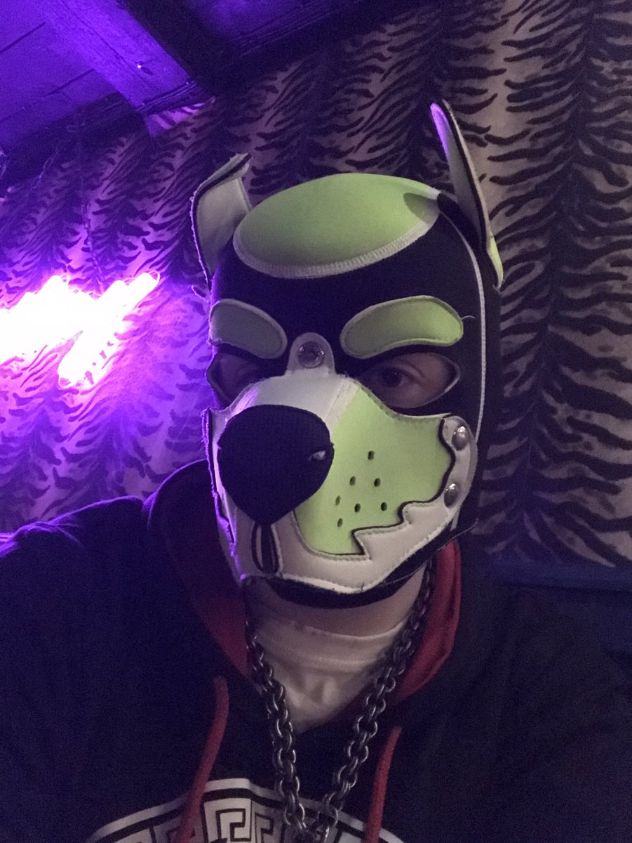 PupDyox's tweet photo. cant go wrong with a pups night out https://t.co/gHDyz67FaE