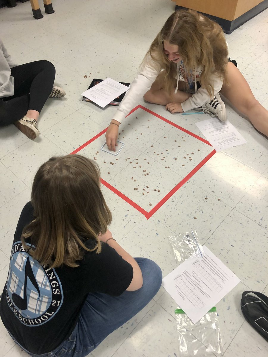 Diana Mitchell tweet media