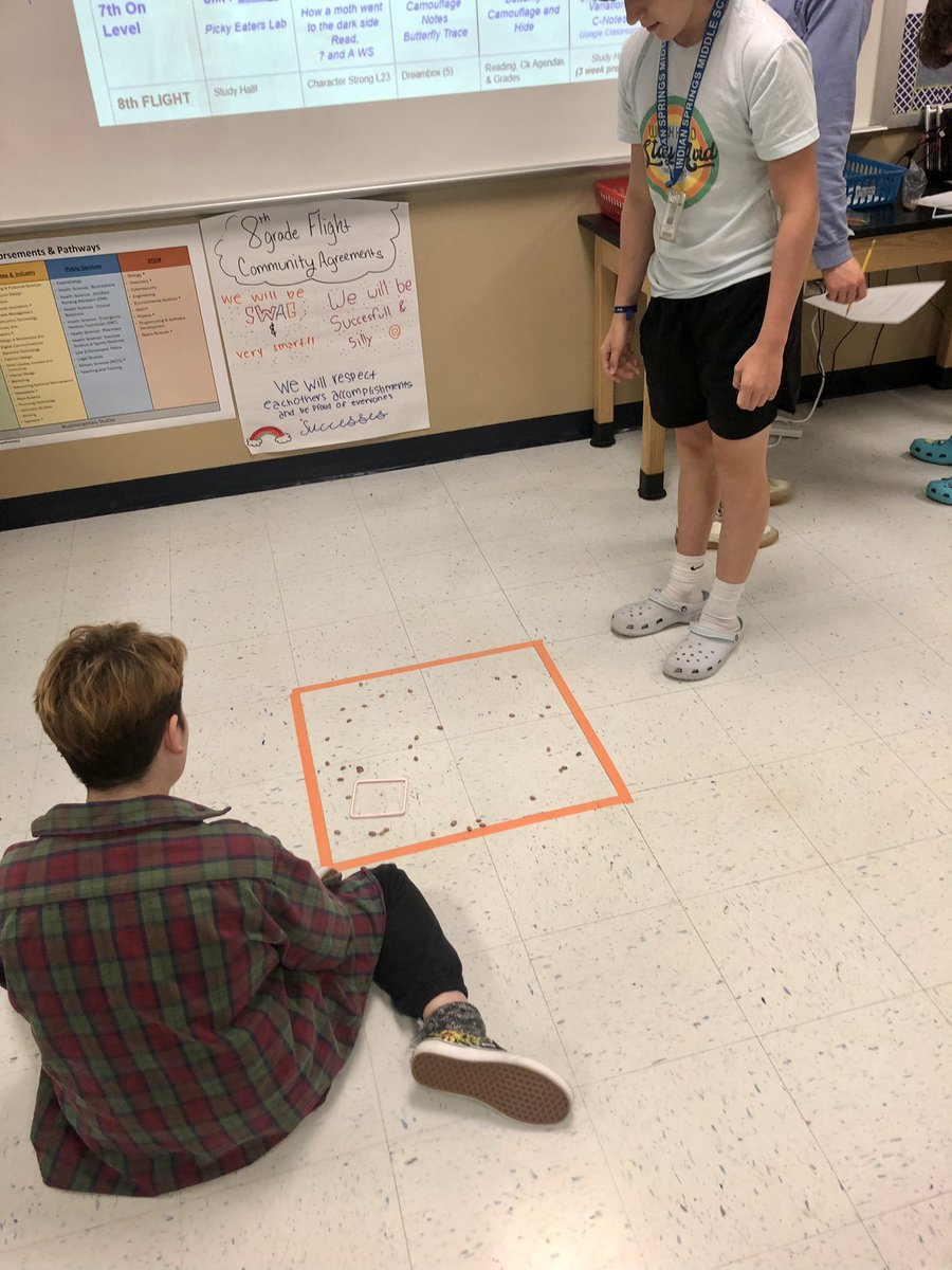 Diana Mitchell tweet media