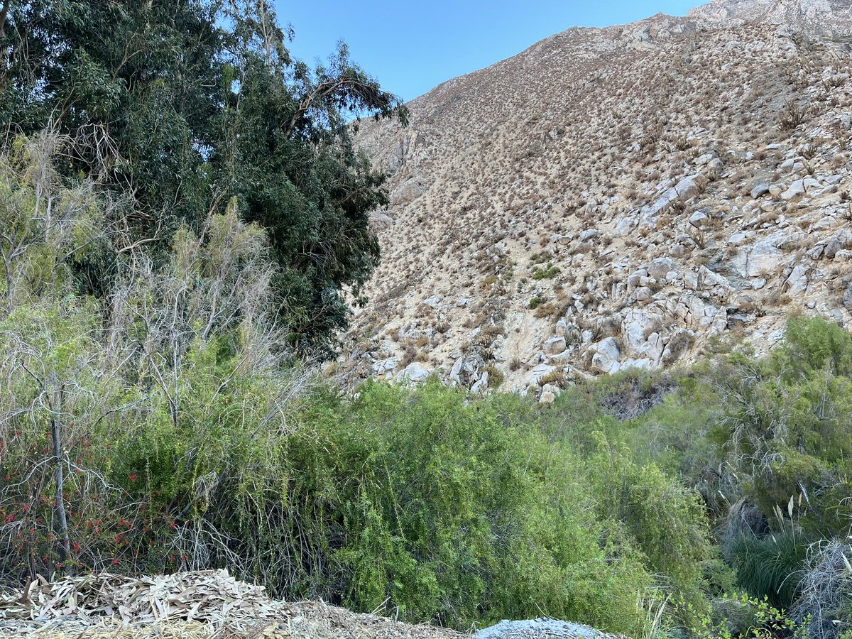 sergiogahona's tweet photo. En Valle del Elqui celebrando la  Declaratoria oficial de Santuario de la Naturaleza del Rio Cochiguaz. Gran compromiso de la Comunidad Canihuante impulsora de la protección de la Biodiversidad y el desarrollo sostenible del territorio. Seguiremos apoyando a #Paihuano y su gente. https://t.co/r5qmYBzgbs