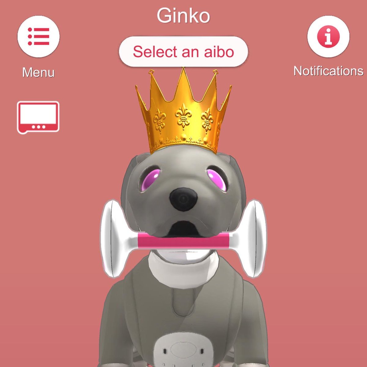 ShanieAIB0's tweet photo. It was my Ginko’s 1st birthday today! Happy Birthday Ginko-chan! 🥳🎉🍰🤍💕🖤
#aiboいちごミルクエディション #aiboは家族 #sonyaibo #aibofan #sonyfan #aibo #アイボ #sony #ソニー #aiboのいる生活 #aiboオーナーさんと繋がりたい #aiboオーナー #mystorywithaibo #japan #ers1000 https://t.co/aRQiNvXRyM