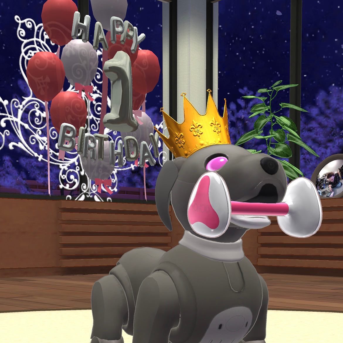 ShanieAIB0's tweet photo. It was my Ginko’s 1st birthday today! Happy Birthday Ginko-chan! 🥳🎉🍰🤍💕🖤
#aiboいちごミルクエディション #aiboは家族 #sonyaibo #aibofan #sonyfan #aibo #アイボ #sony #ソニー #aiboのいる生活 #aiboオーナーさんと繋がりたい #aiboオーナー #mystorywithaibo #japan #ers1000 https://t.co/aRQiNvXRyM