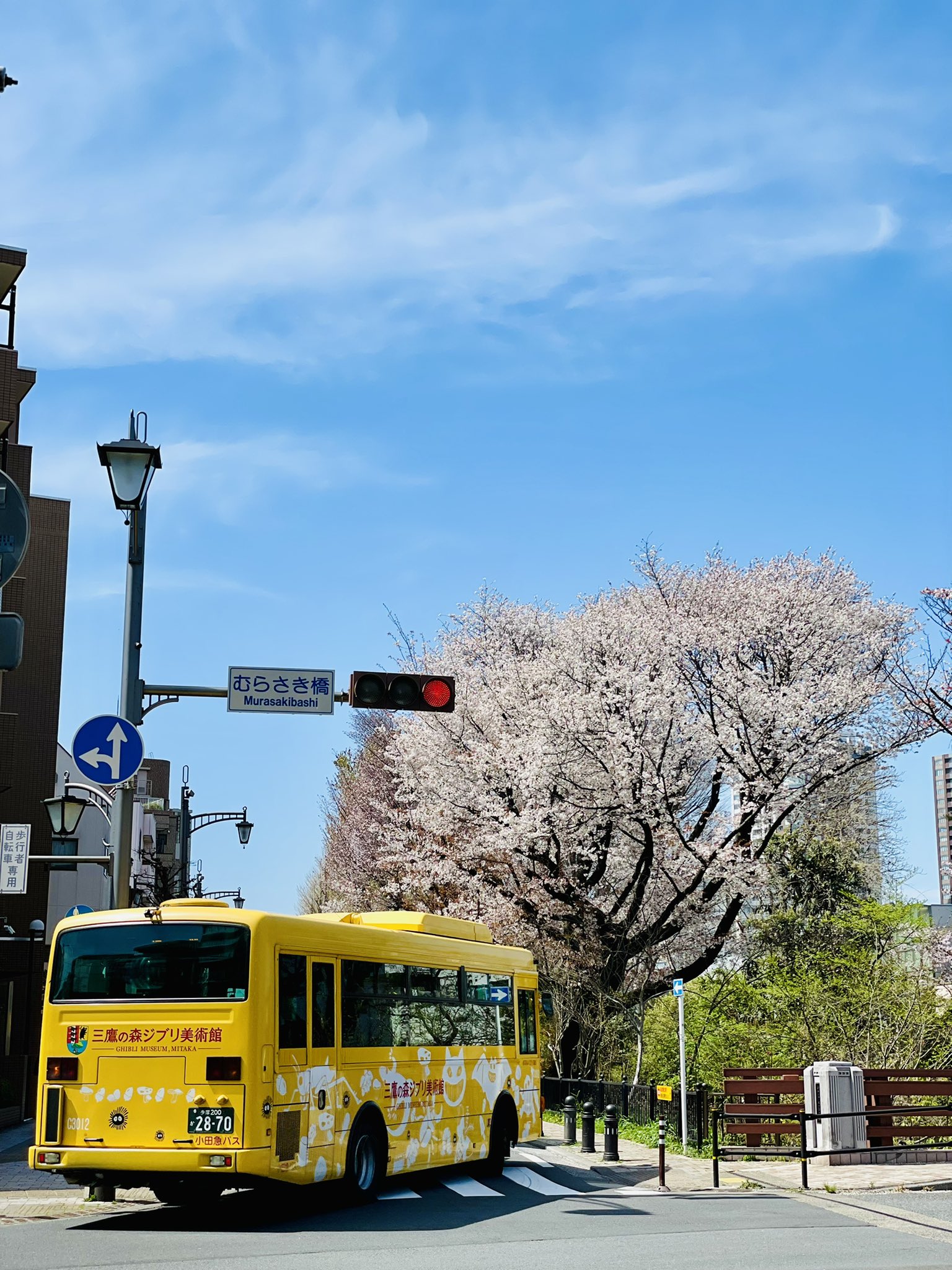 みたか都市観光協会 公式 中央線twitter会 初企画 4月11日は中央線開業記念日 あなたの 中央線オススメスポット教えて 本日4 8 4 11まで みんなで 中央線オススメスポット を投稿しよう 私のお気に入りは三鷹駅南口から井の頭恩賜公園まで続く