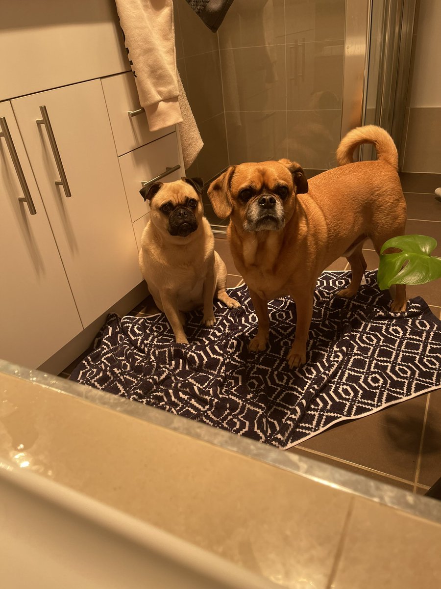 No privacy. Ever. Not even in the bath.