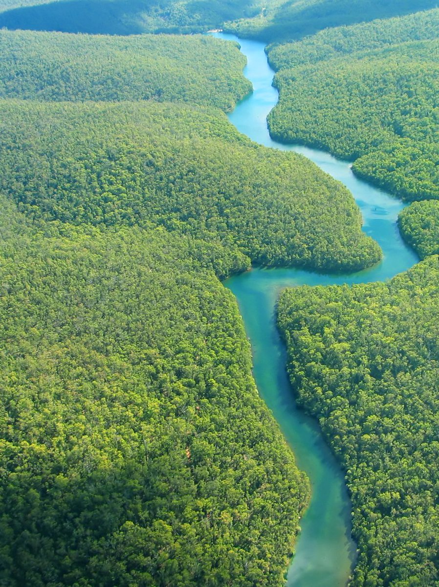 NazNews3's tweet photo. La forêt amazonienne s'étend sur neuf pays dont le Brésil à plus de 60%. Elle comprend plus de 390 milliards d'arbres et  couvre plus de 6 millions de km carrés, soit plus de 200 fois le territoire d'Haïti. Cette forêt produirait parfois 50% de l'oxygène de la planète. https://t.co/BbND3Gzd9F