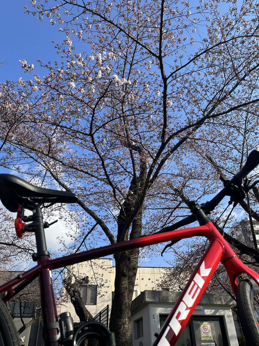 moke40672662's tweet photo. 🏢通勤が楽しい季節になりました🚴‍♀️
#trek #FX23 https://t.co/vYTyYaFDCD